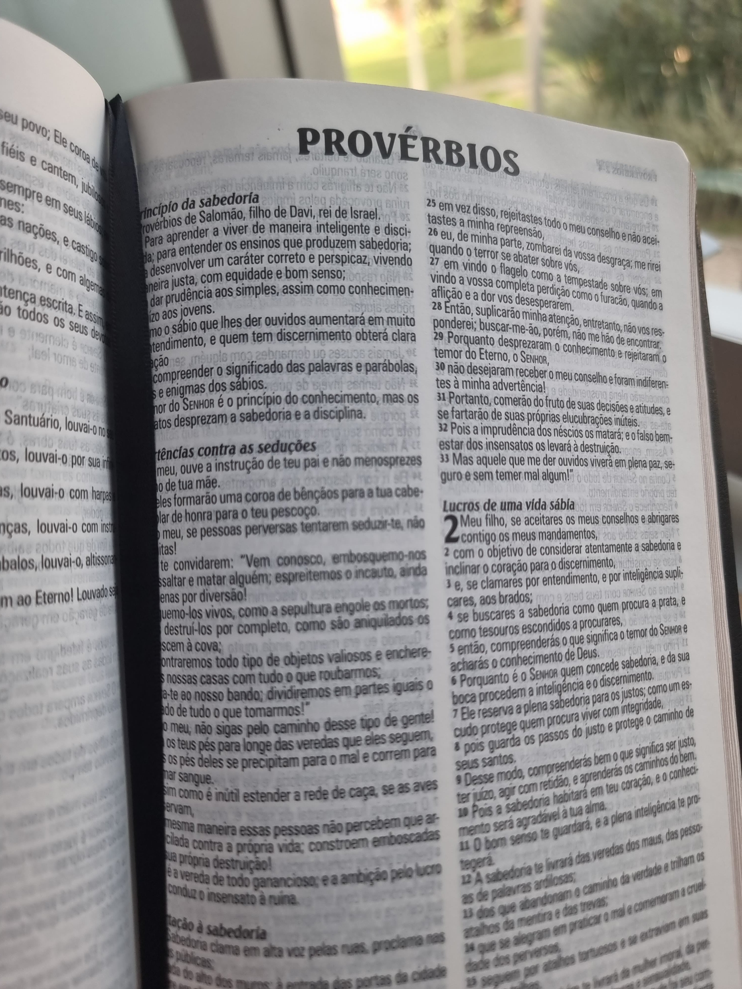 Bíblia King James Atualizada Slim - Preta
