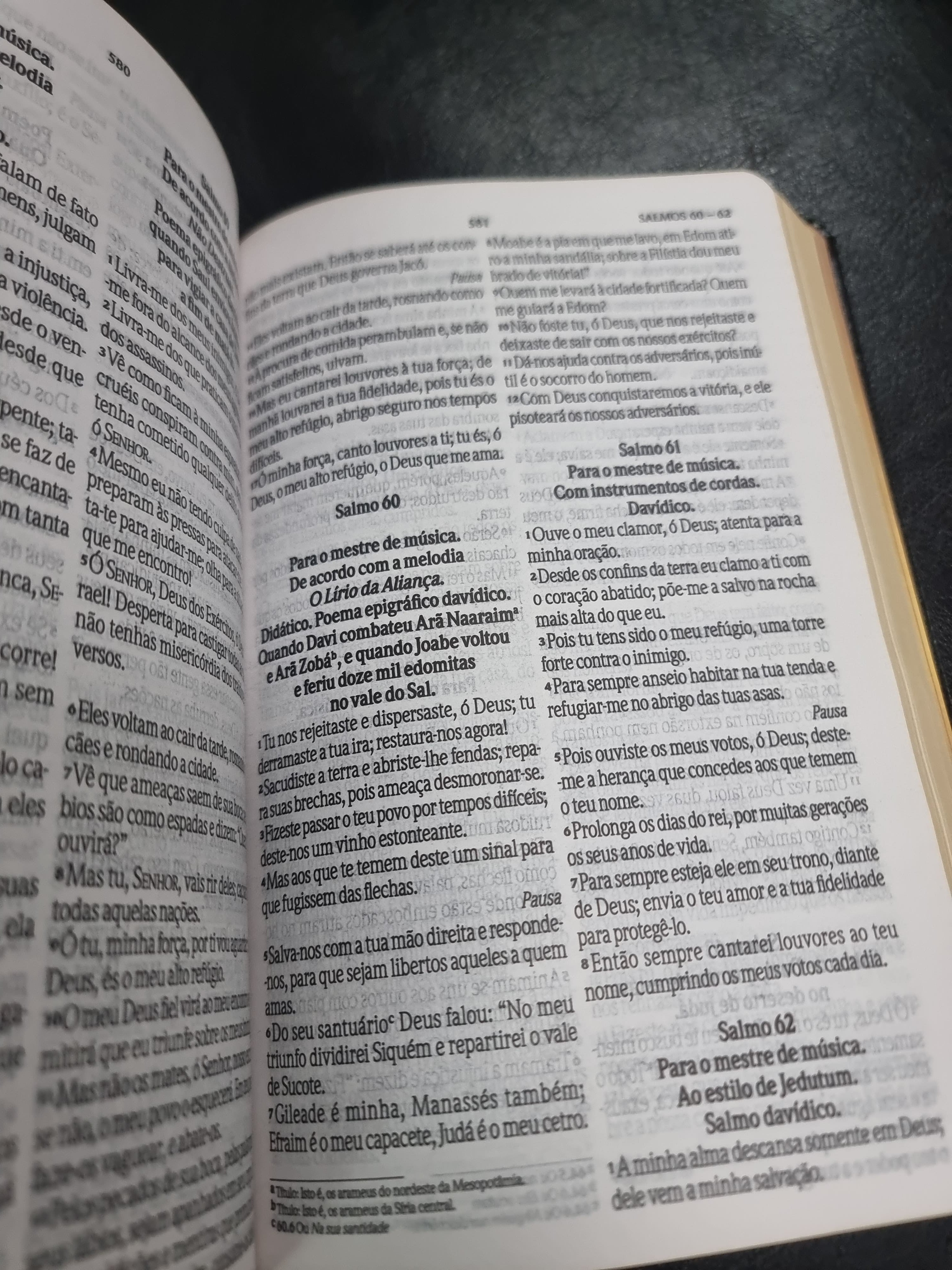 Bíblia Sagrada Clássica Letra Grande Preta