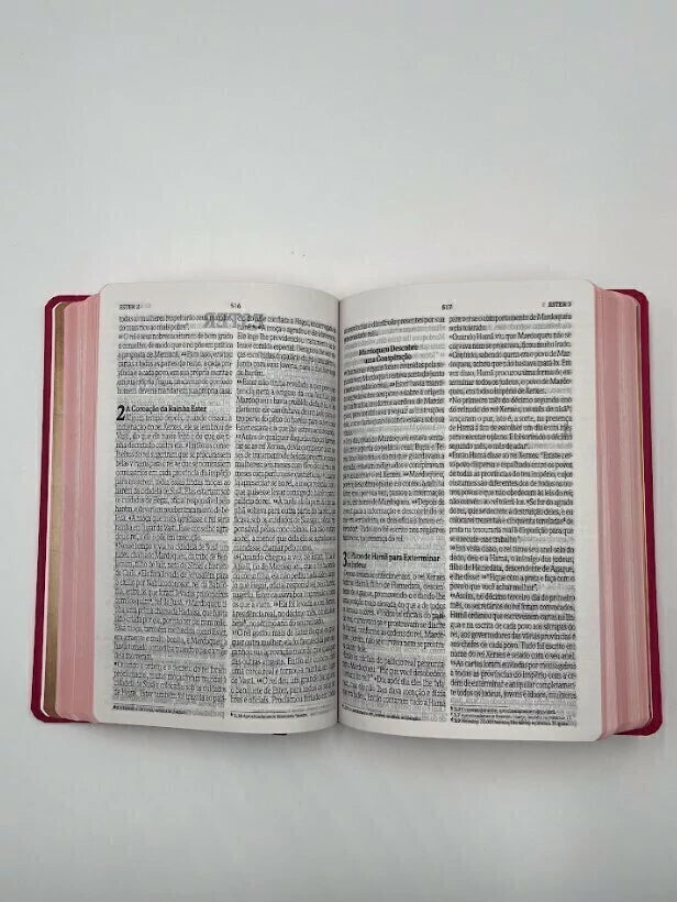 Bíblia Sagrada Clássica Letra Grande Rosa